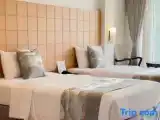 Номер Superior