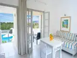 Одноместный люкс с видом на сад