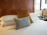 Двухместный номер Executive с видом на парк
