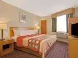 Run of House