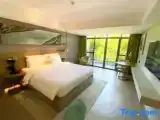 Двухместный номер Executive с балконом