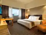 Одноместный номер Executive