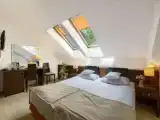 Двухместный номер Стандарт Мансарда