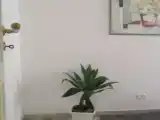 Люкс