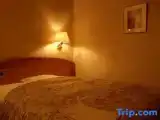 Run of House