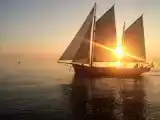 Номер Superior