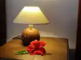 Двухместный номер Стандарт с видом на сад