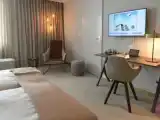 Одноместный номер Стандарт с видом на сад