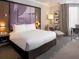 Двухместный Mobility accessible номер Luxury