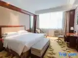 Двухместный номер Business