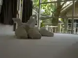 Коттедж