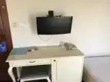 Номер Classic