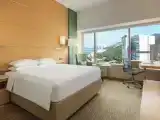 Двухместный номер Executive lounge access с видом на реку