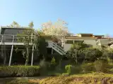 Run of House