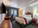 Двухместный люкс