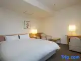 Номер Эконом с видом на город