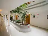 Четырёхместный номер Стандарт