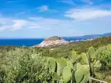 Номер Стандарт с видом на море