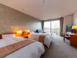 Двухместный номер Western-Style