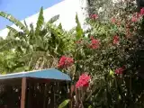 Двухместный номер Стандарт с видом на сад