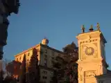 Run of House