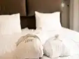 Двухместный номер Superior