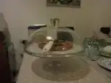 Run of House