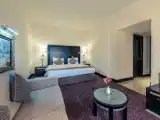 Двухместный люкс Представительский