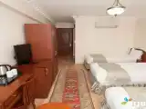 Двухместный номер Стандарт Цокольный этаж
