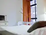 Номер Стандарт с видом на парк