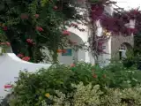 Двухместный номер Комфорт с видом на сад