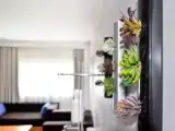 Люкс