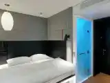 Двухместный номер 1 King Premium View Guest