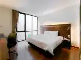 Двухместный номер Premier с видом на город