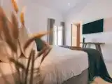 Номер Стандарт с видом на сад