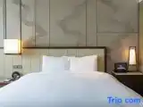Номер Premium