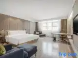 Номер Executive