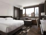 Room Deluxe with Hudson river view