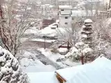 Run of House