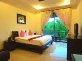 Двухместный номер Deluxe
