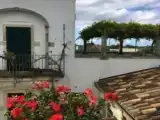 Run of House
