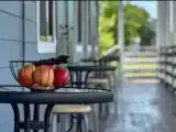 Run of House