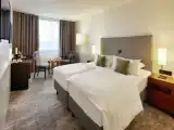 Двухместный номер Business