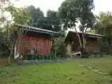 Одноместный номер Эконом