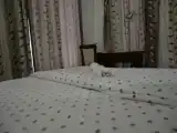 Двухместный номер Эконом с видом на город