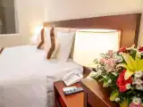 Номер Deluxe с видом на город