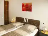 Одноместные апартаменты Classic с 2 комнатами