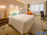 Двухместный номер Executive с видом на город