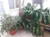 Номер Стандарт