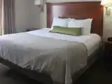 Двухместная Studio Suite